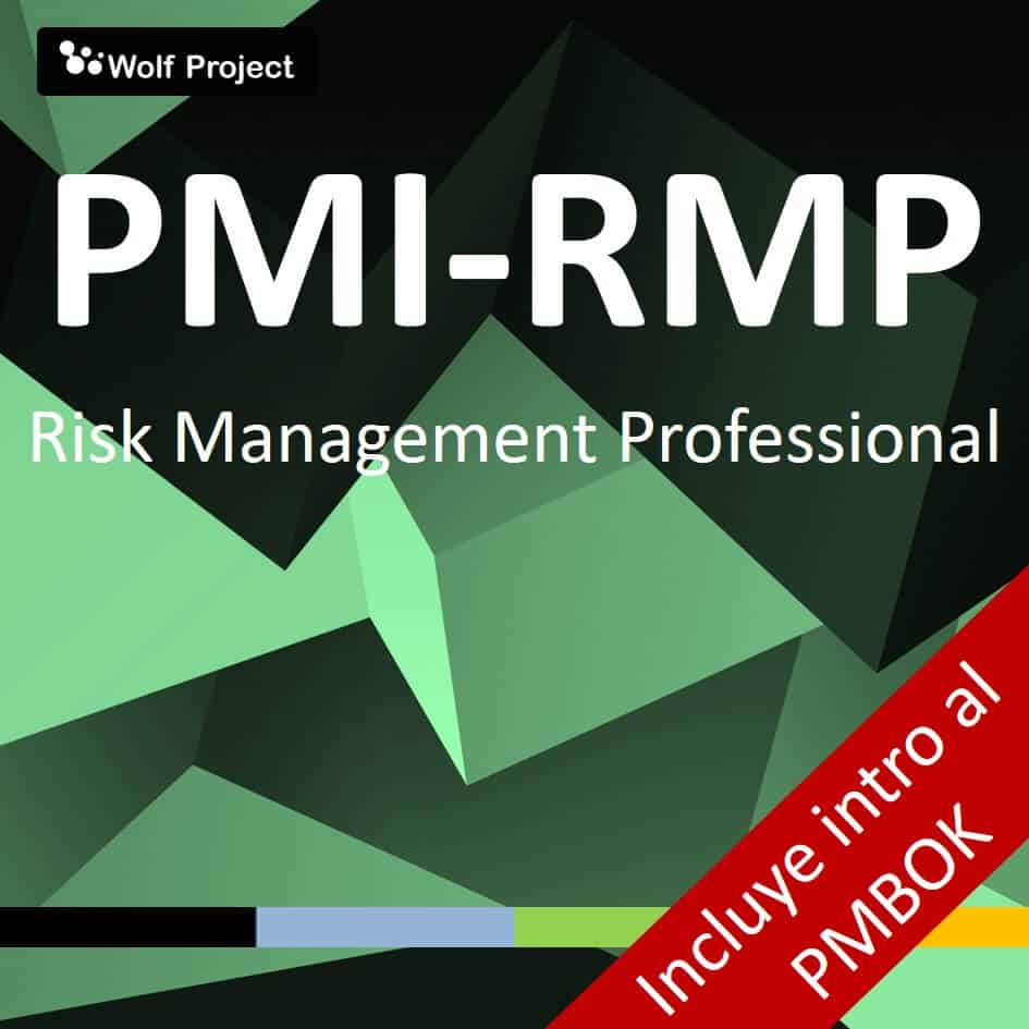 Test PMI-RMP Score Report